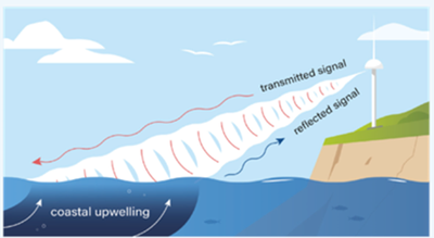 New marine in-situ data observations contribute to the Copernicus Ocean State report